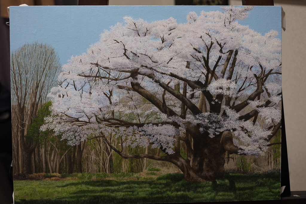 油彩画「桜の木」