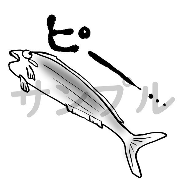マグネット「シイラ」