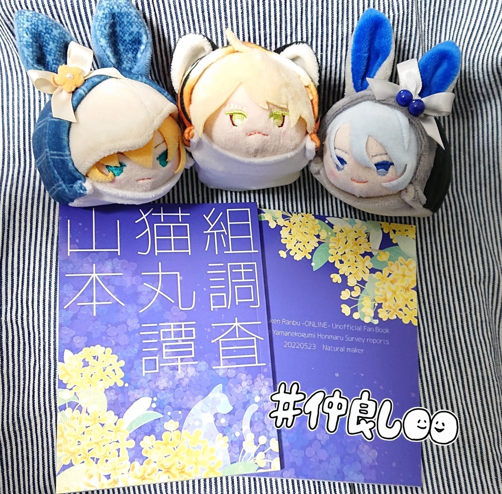 山猫組本丸調査譚