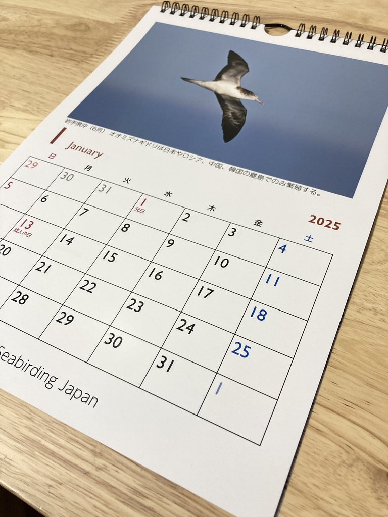 オオミズナギドリ カレンダー2025【寄付付き】