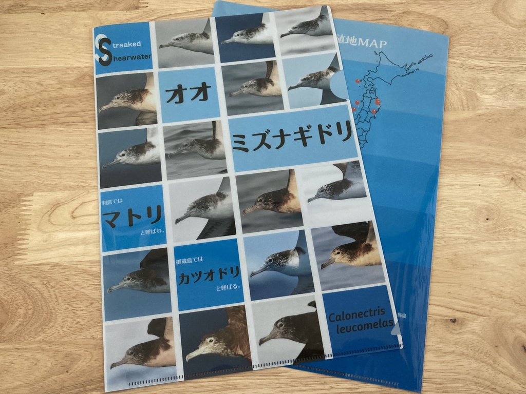 オオミズナギドリクリアファイル 2枚セット【寄付付き】