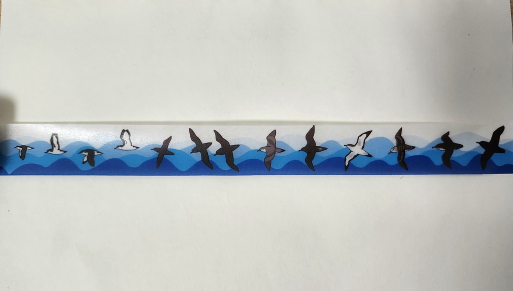 日本のミズナギドリ類マスキングテープ