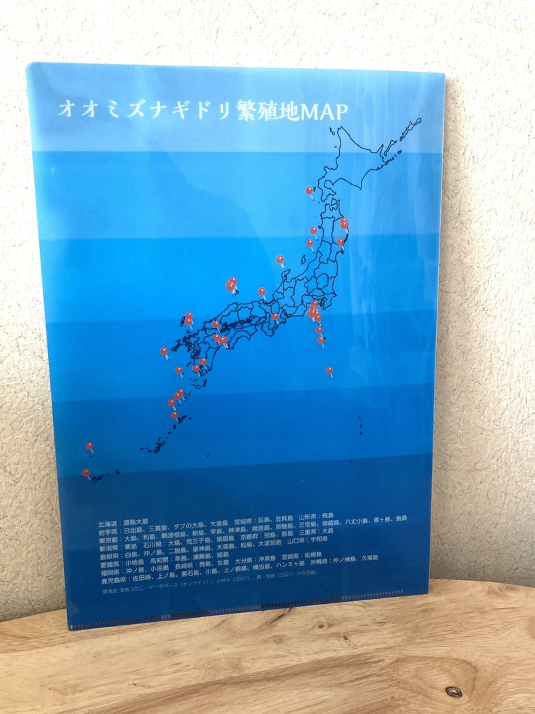 オオミズナギドリクリアファイル&ミズナギドリ類マスキングテープセット