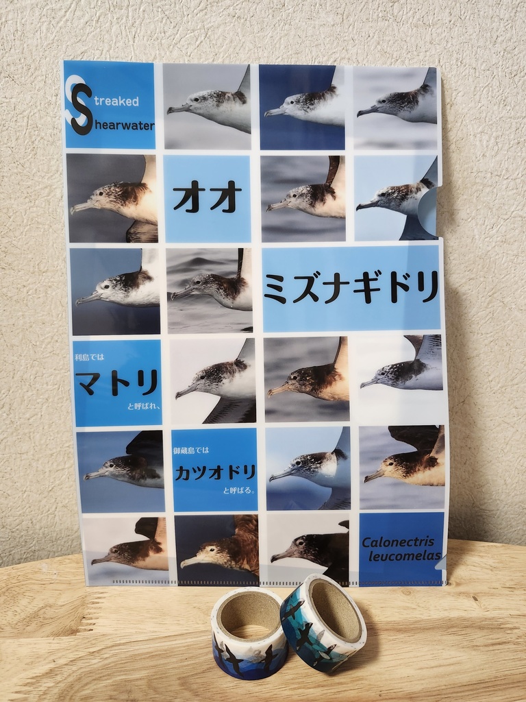 オオミズナギドリクリアファイル&ミズナギドリ類マスキングテープセット