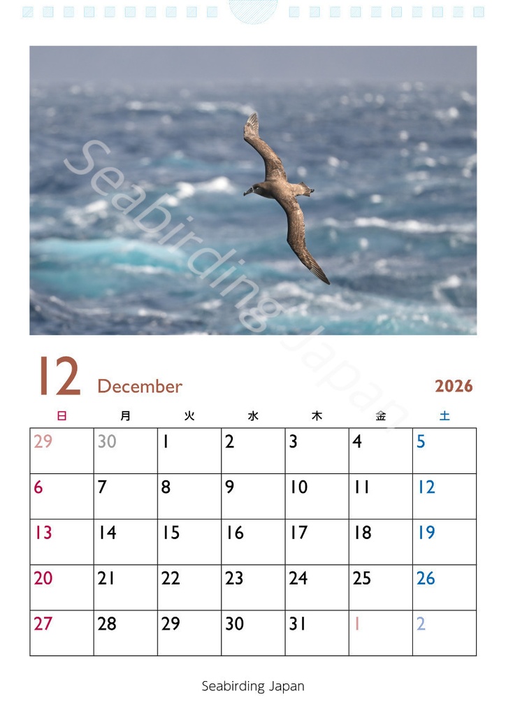 日本の海鳥カレンダー2026【寄付付き】