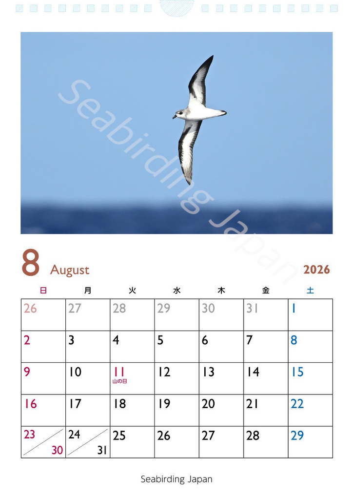 日本の海鳥カレンダー2026【寄付付き】