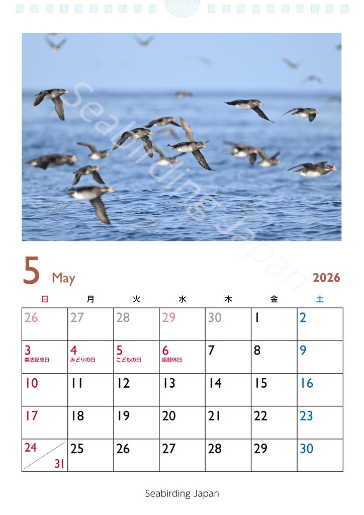 日本の海鳥カレンダー2026【寄付付き】