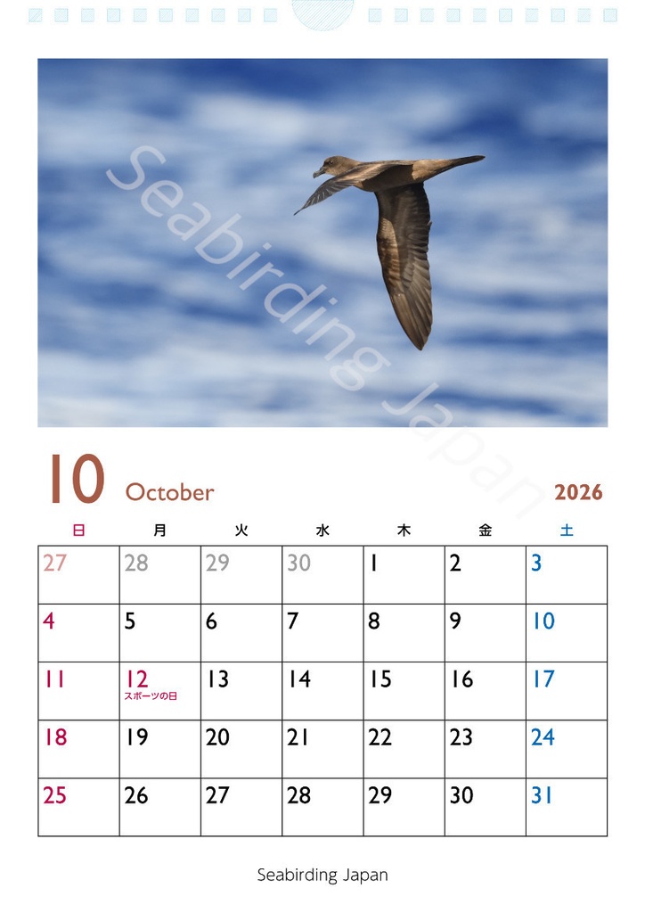 日本の海鳥カレンダー2026【寄付付き】