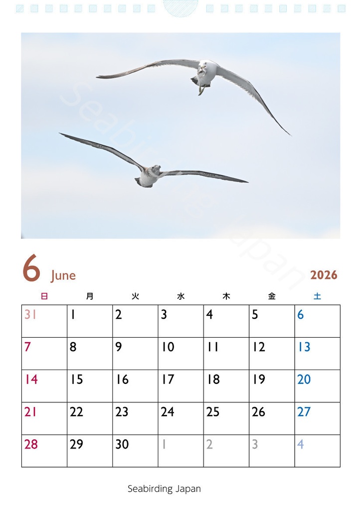 日本の海鳥カレンダー2026【寄付付き】
