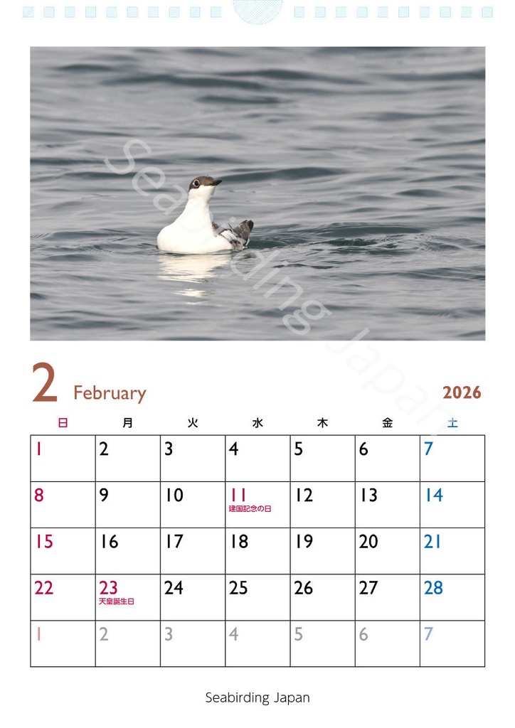 日本の海鳥カレンダー2026【寄付付き】