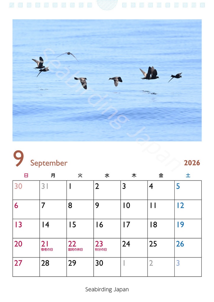 日本の海鳥カレンダー2026【寄付付き】