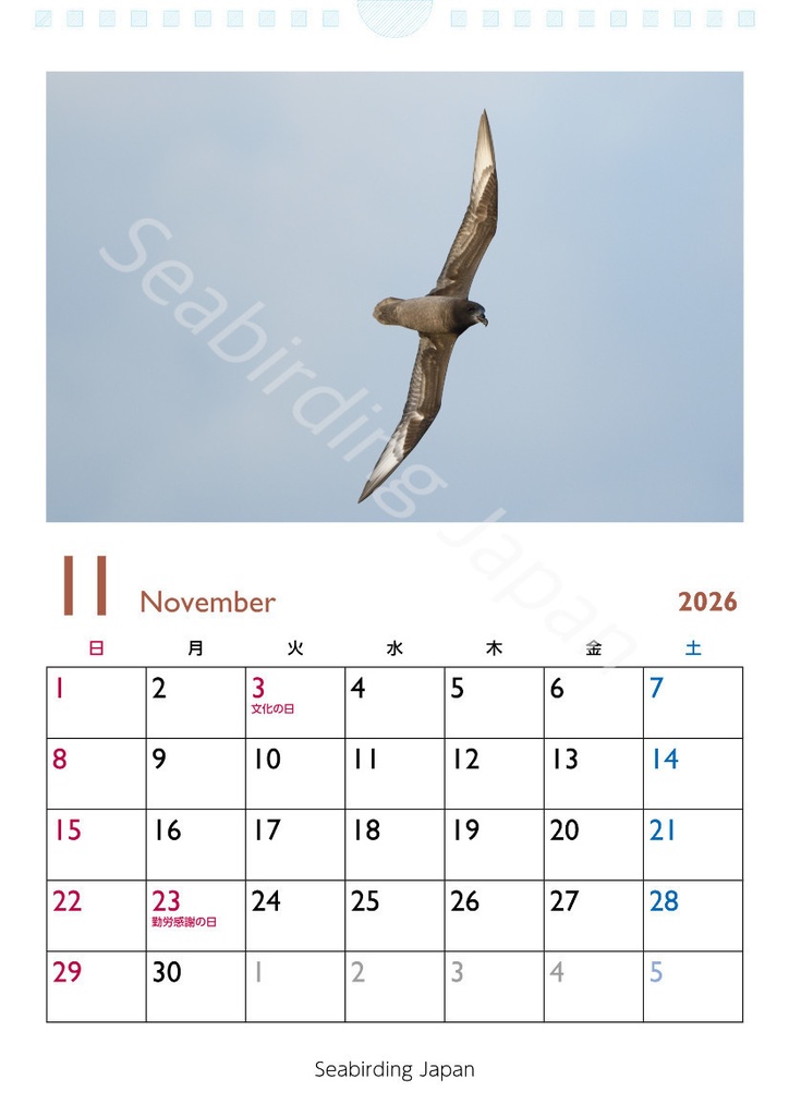 日本の海鳥カレンダー2026【寄付付き】