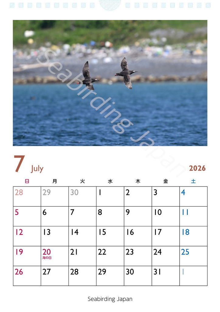 日本の海鳥カレンダー2026&オオミズナギドリクリアファイルセット【寄付付き】