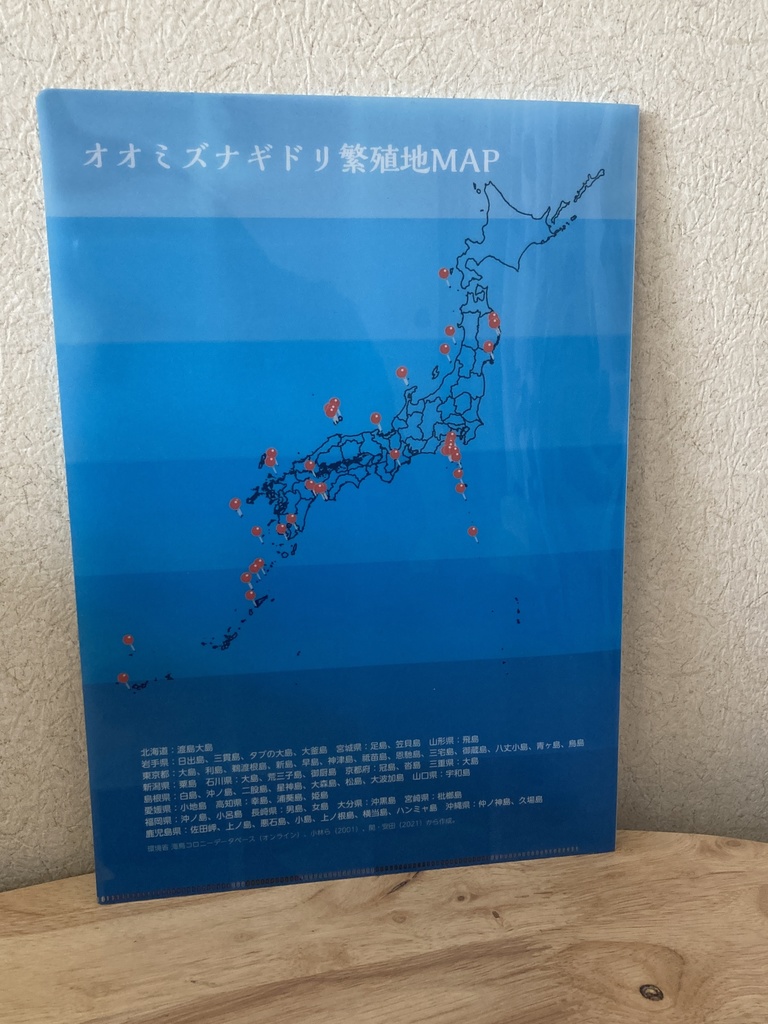 日本の海鳥カレンダー2026&オオミズナギドリクリアファイルセット【寄付付き】