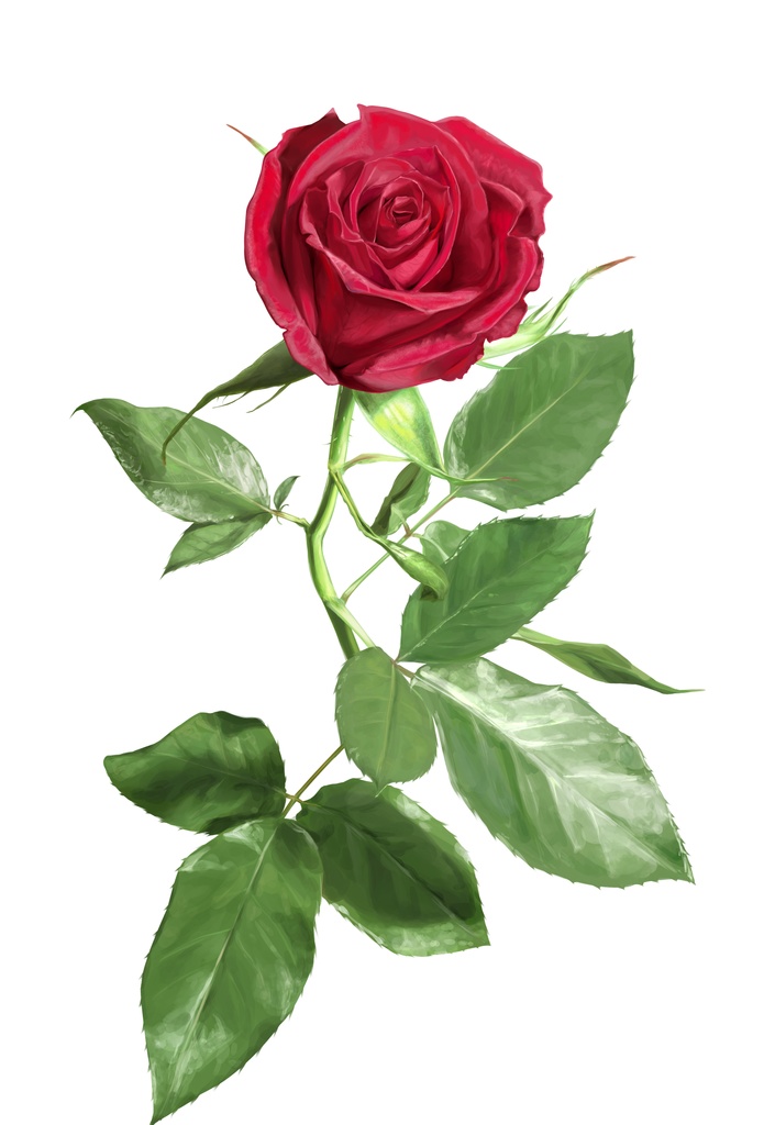 『凡庸非行少年』冊子版