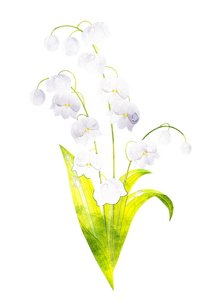 【印刷用】水彩風花の素材