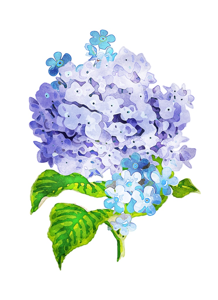 【印刷用】水彩風花の素材