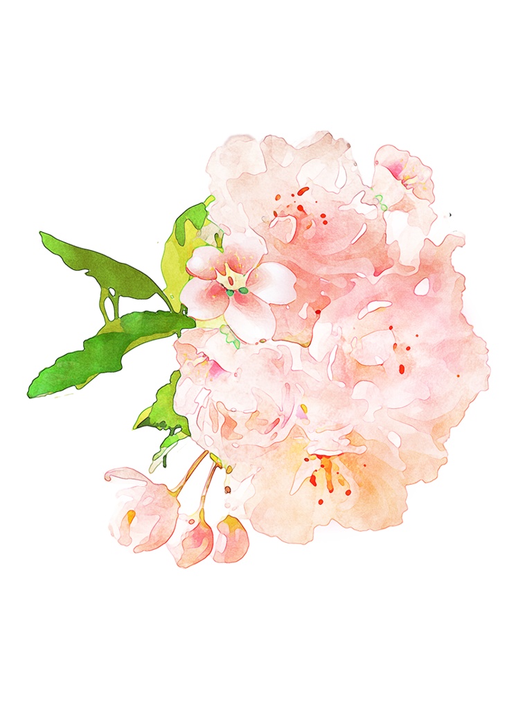 【印刷用】水彩風花の素材