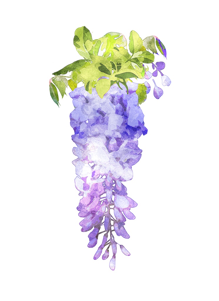 【印刷用】水彩風花の素材