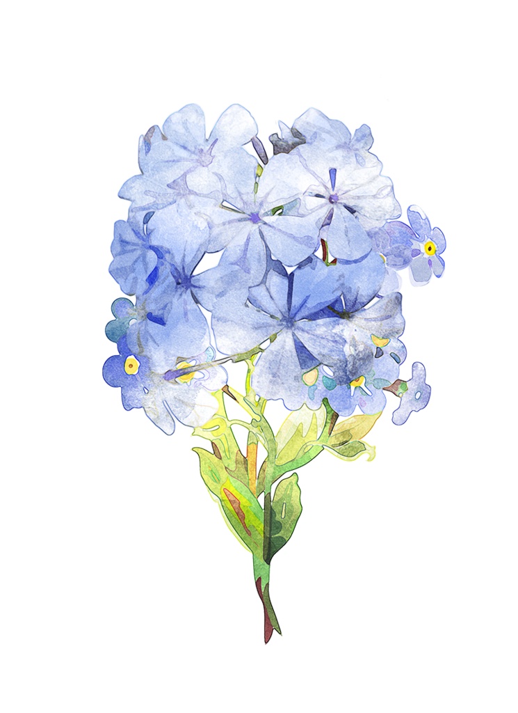 【印刷用】水彩風花の素材