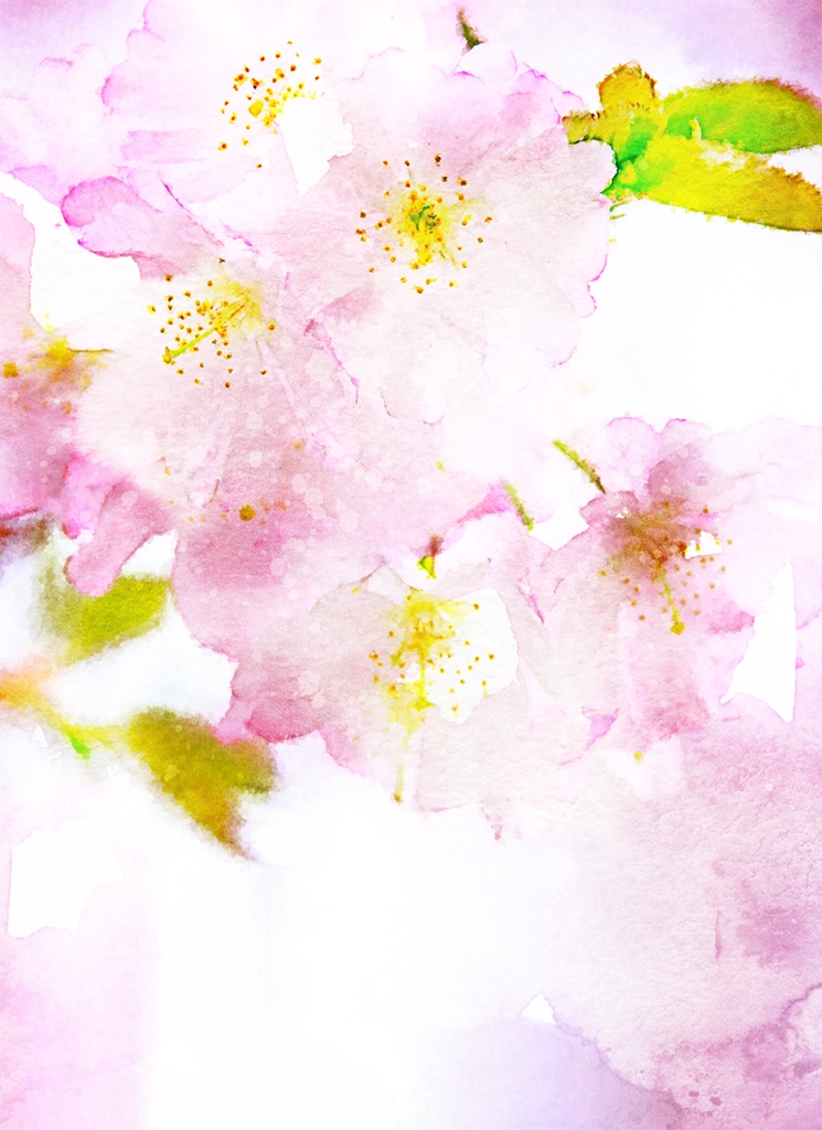 【印刷用】水彩風「花1」