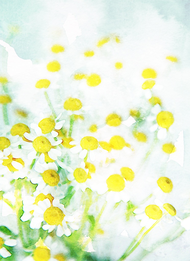 【印刷用】水彩風「花1」