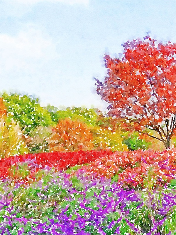 【印刷用】水彩イラスト「自然風景」