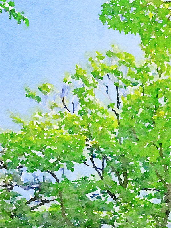 【印刷用】水彩イラスト「自然風景」