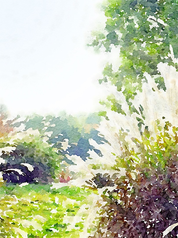 【印刷用】水彩イラスト「自然風景」