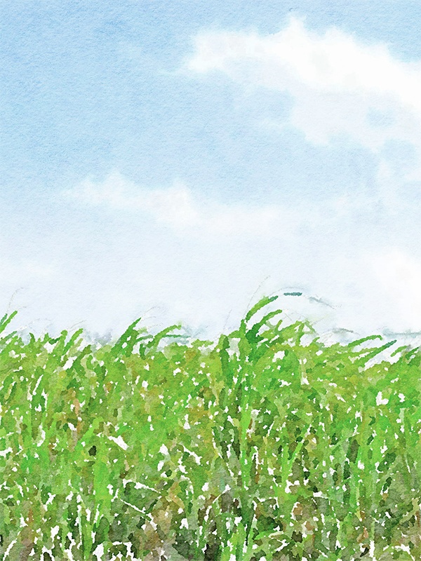 【印刷用】水彩イラスト「自然風景」