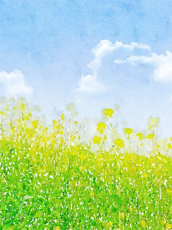 【印刷用】水彩イラスト「花群生」