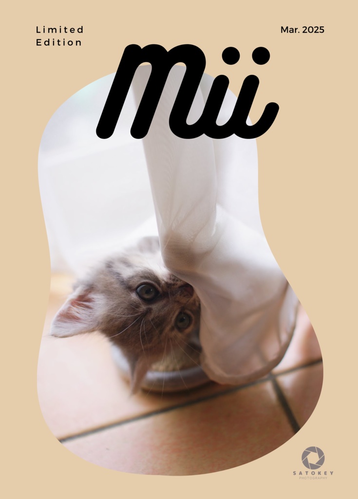 【保護猫ミィの写真集】Mii