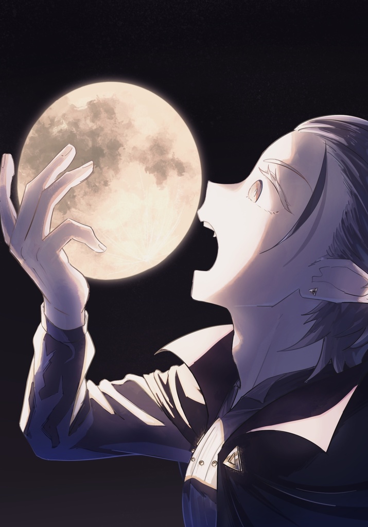 太陽を追いかける