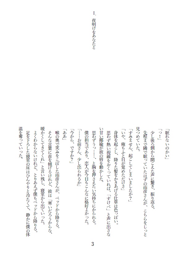 P雨小説 夜明けをあなたと パバステ2 君影アリア Booth