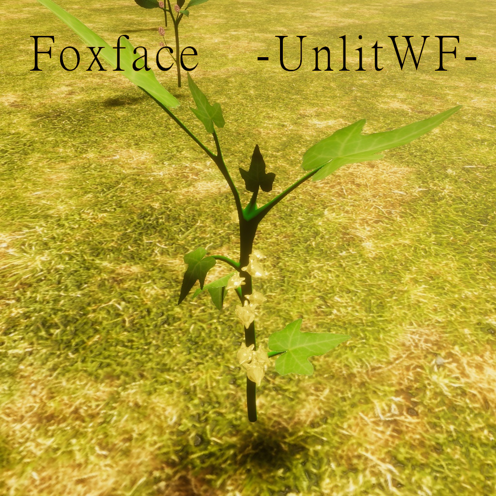 鉱石のなる植物