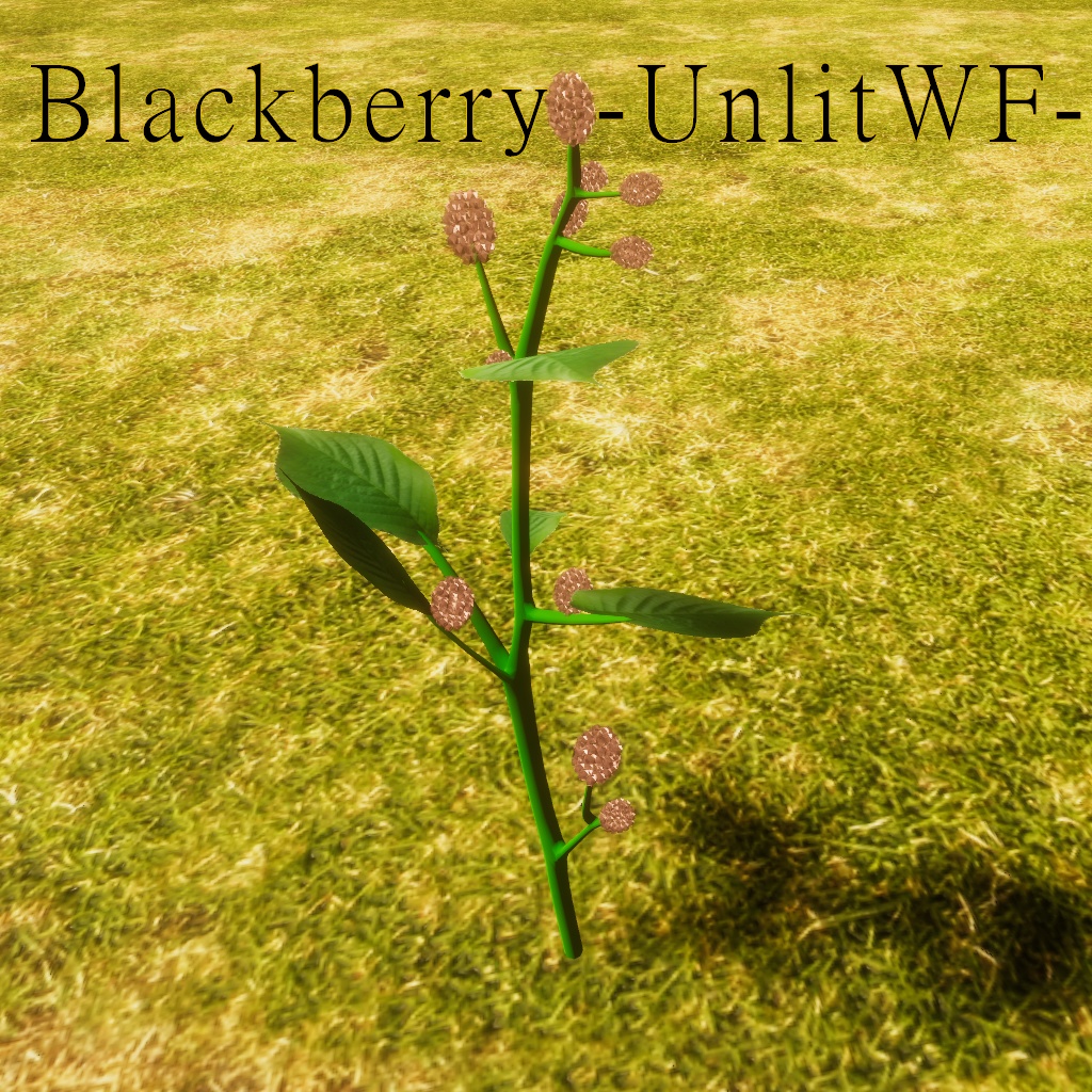 鉱石のなる植物