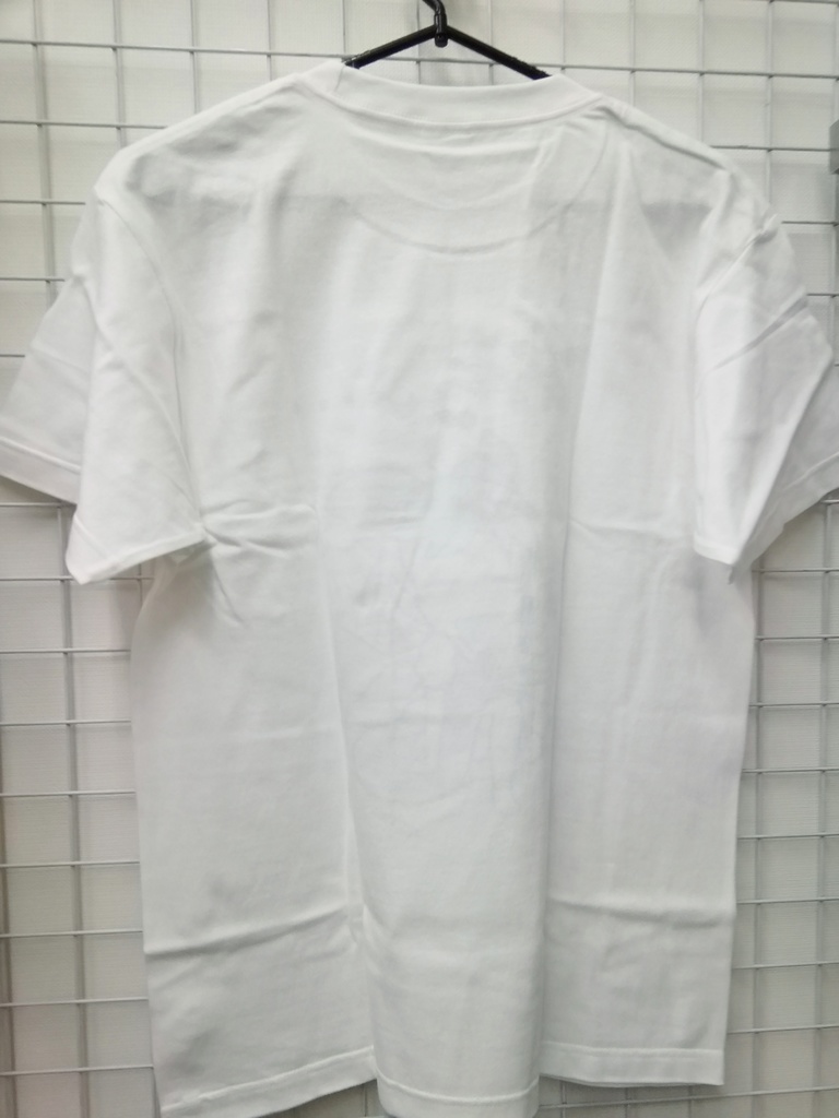 東方Project チルノ (カラー) Tシャツ 『あちぃ・・・』