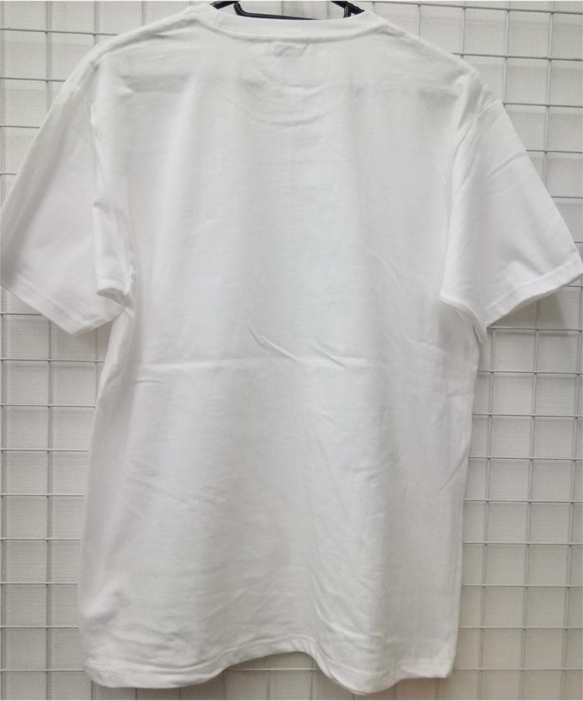 東方Project シルエットTシャツ『チルノ』