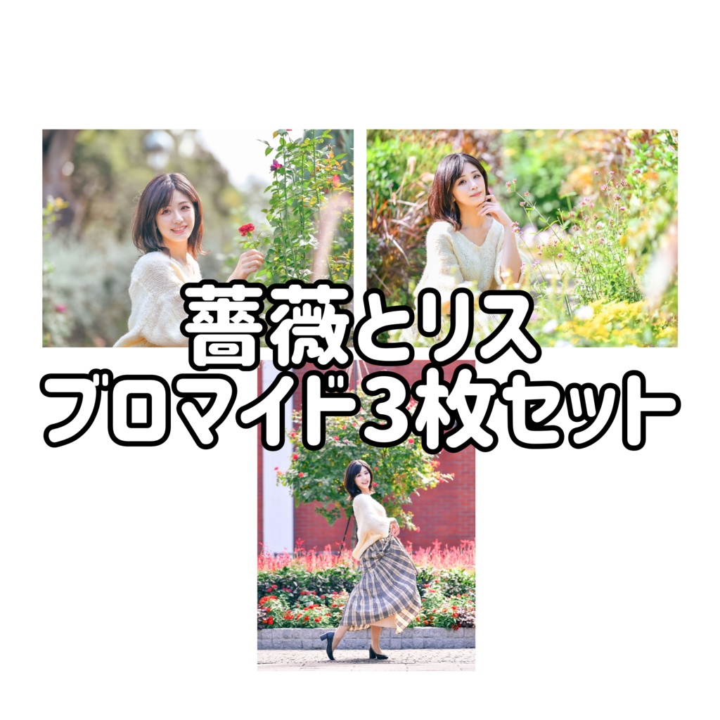 薔薇とリスブロマイド３枚セット
