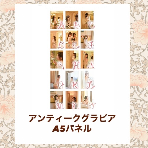 アンティークグラビア✦パネル