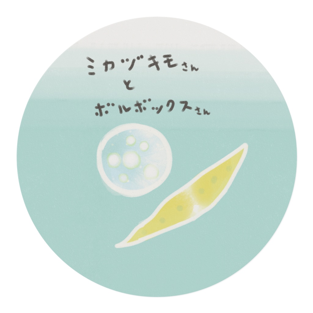 ミカヅキモさんとボルボックスさん夏