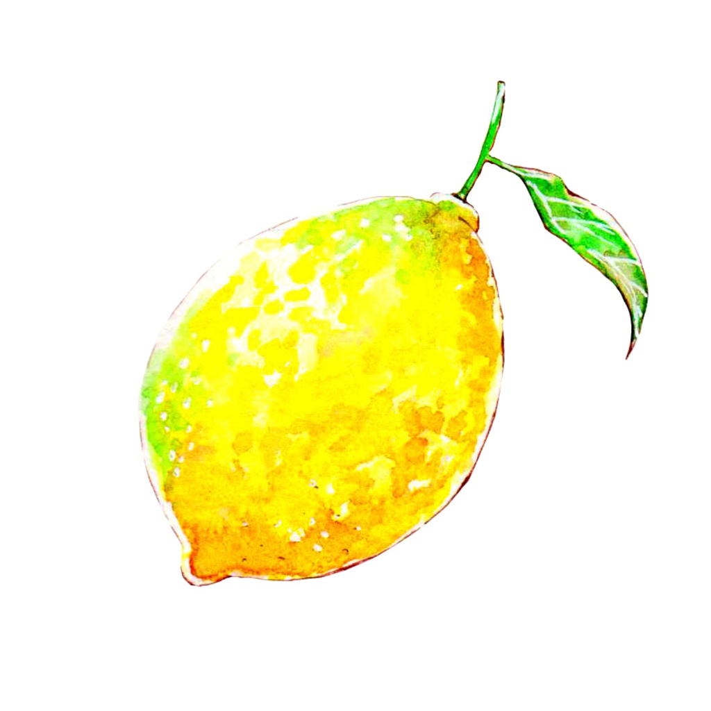 Lemon iPhoneケース