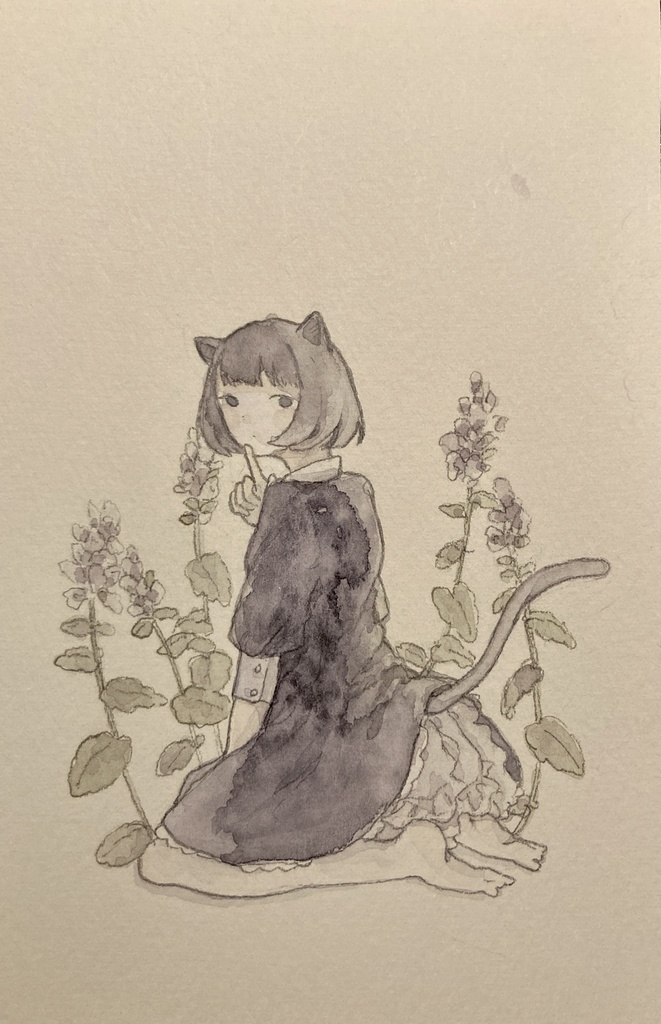 キャットニップ