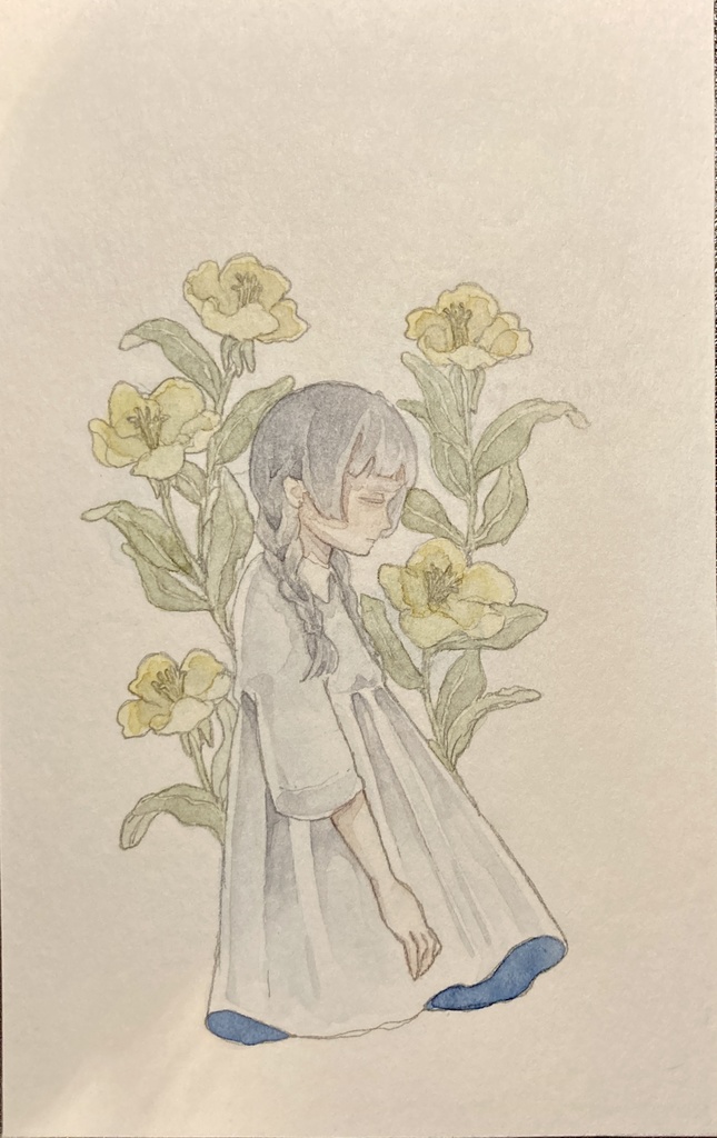 月見草
