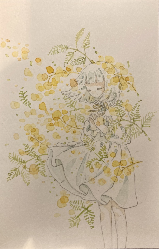 ミモザ