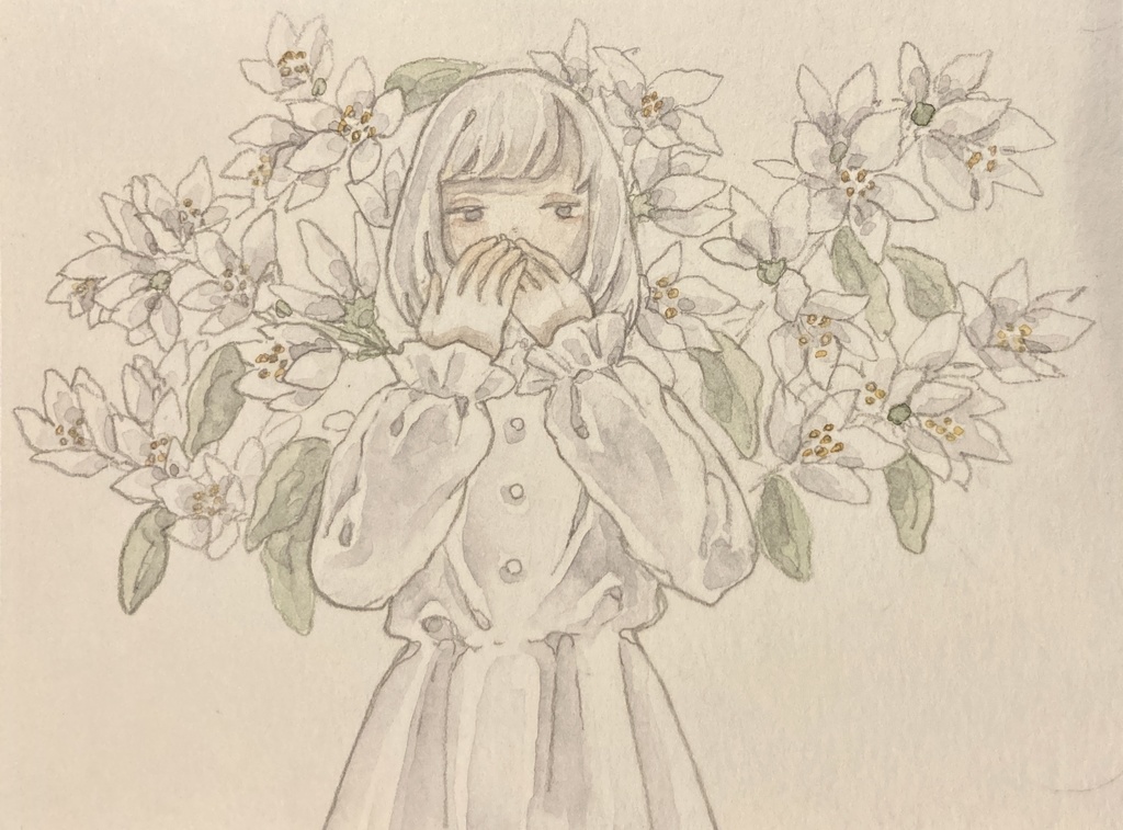 ウツギ