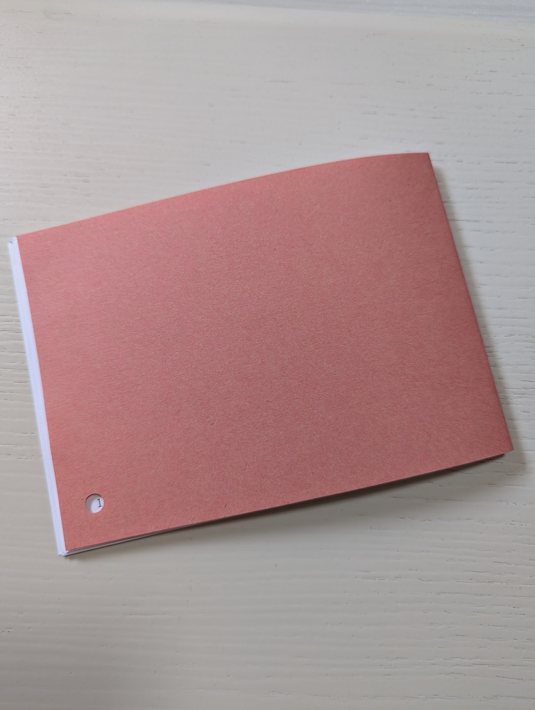 【2014年制作】ZINE「錯覚キャベツの南」(詩+短歌)
