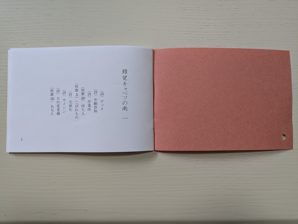 【2014年制作】ZINE「錯覚キャベツの南」(詩+短歌)