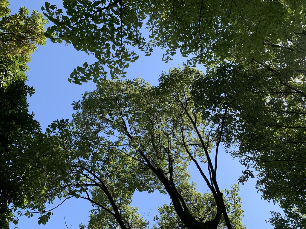 特別画像① 風景写真