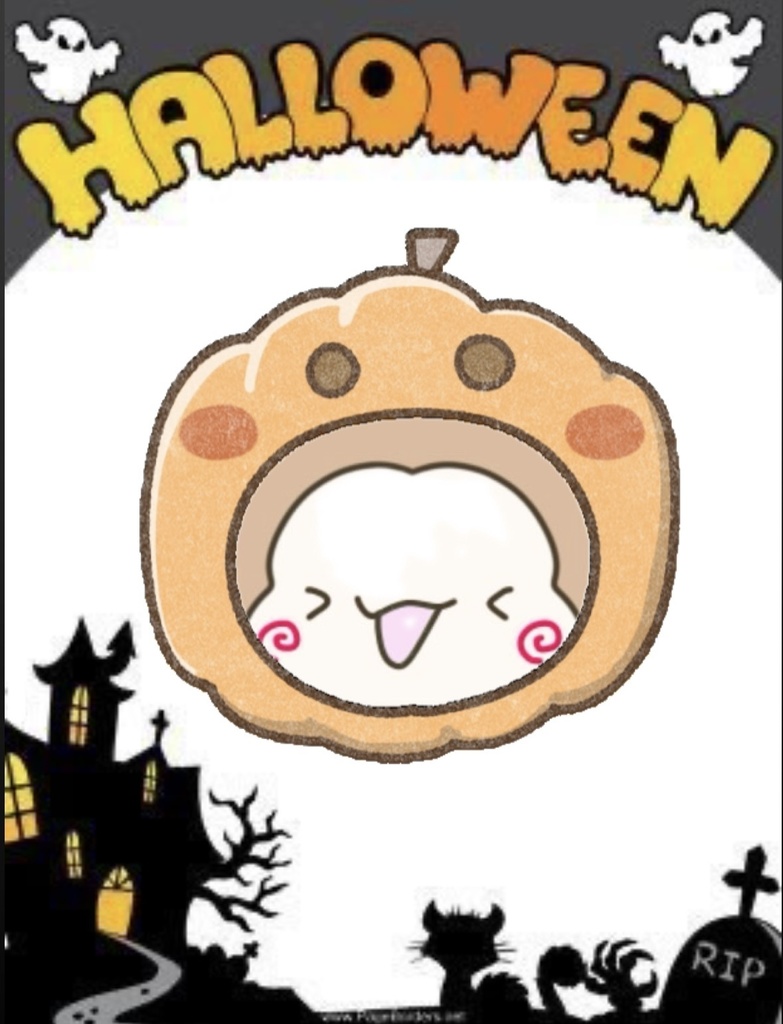 ハロウィン限定サイン入りチェキ😈